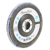 Buede flapskiver Ø 125 mm  - Manutan Expert