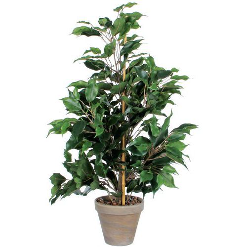 Ficus Exotica Kunstig plante 65cm - Vepabins