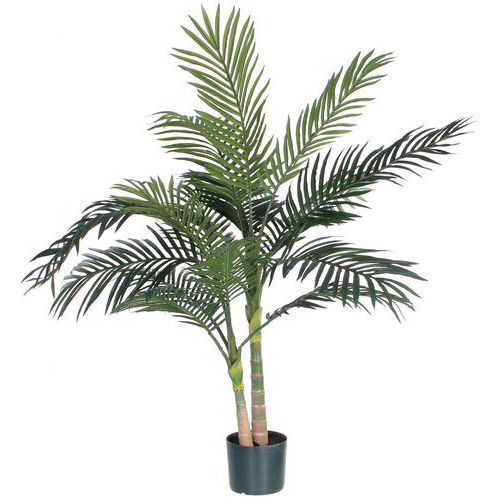 Palmetræ Areca Golden Cane 120 cm – Vepabins