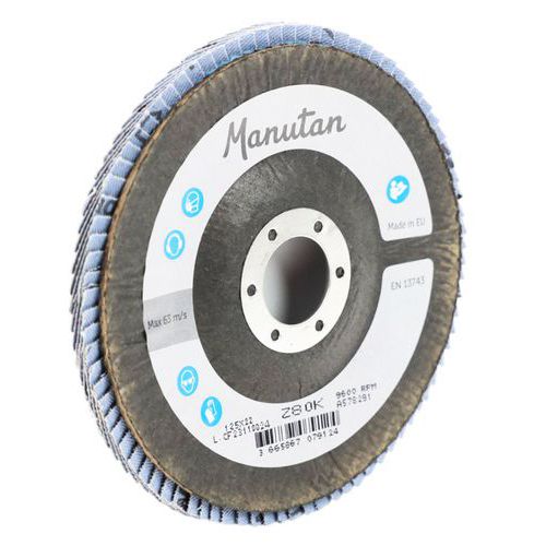 Buede flapskiver Ø 125 mm  - Manutan Expert