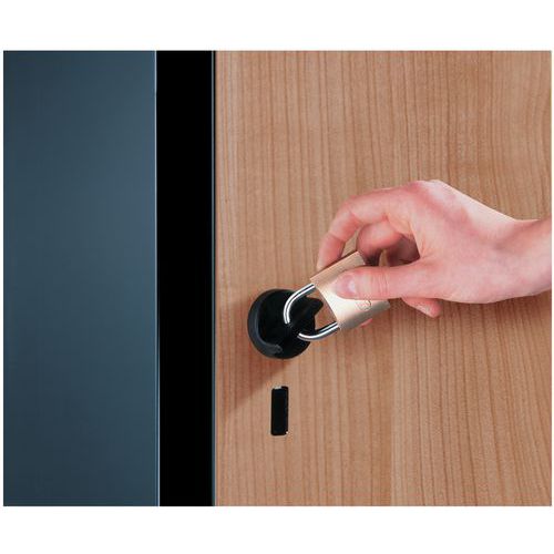 moraillon porte-cadenas à pêne rotatif